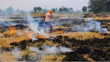 Comply with rules related to stubble burning: UP chief secy to officials