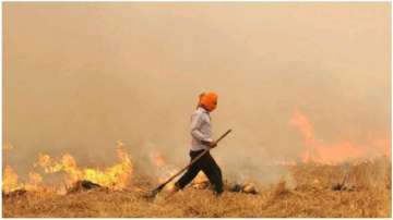 Stubble burning Punjab and Haryana
