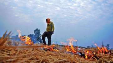 Mathura farmer, stubble burning,