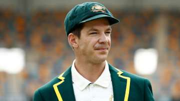 Tim Paine's wallet stolen from car after he parks outside to convert garage into home gym