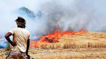 300 farmers booked for stubble burning in Uttar Pradesh