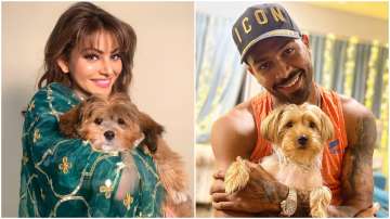 Did Hardik Pandya gift Urvashi Rautela a puppy?