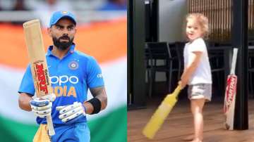 virat kohli david warner