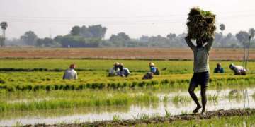 Odisha to frame rules for out of turn promotion, rolls out new agri policy