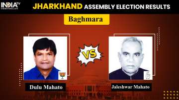 Baghmara Constituency Result 2019 Live: BJP’s Dulu Mahato Vs Jaleshwar Mahato of Congress