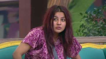 Bigg Boss 13 December 17 LIVE Updates: Shehnaaz upset as Paras Chhbara choses Mahira Sharma for capt