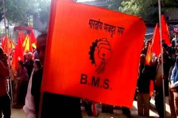 A representative image of a BMS worker carrying the organisation's flag