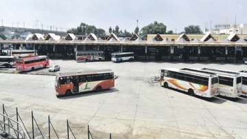 Haryana to start special buses for women