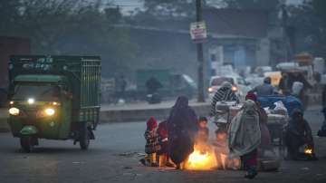 Freezing cold wave continues in Punjab, Haryana; Ludhiana coldest at 0.3 degree C