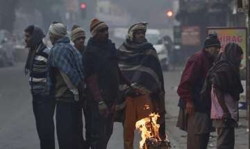 Delhi gripped by severe cold, max temperature likely to be 13 degrees Celsius