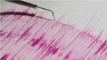 4.8 magnitude earthquake hits Maharashtra's Palghar (Representational image)