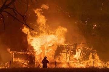 Over 100 houses gutted in Chilean wildfires