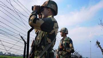 2 Pak soldiers killed in retaliatory action along LoC in Jammu & Kashmir: Army