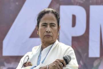 A file photo of Mamata Banerjee