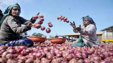 Govt further caps stock limit on onion retailers to 2 tons to check hoarding