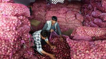 Onion prices touch roof: Hyderabad Rs 170/kg, Mumbai Rs 120/kg, Chennai & Kolkata Rs 100/kg 