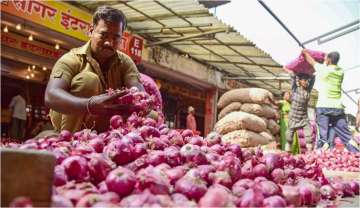 Man arrested for stealing onion