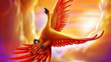Vastu Tips: Hanging picture of Phoenix bird at home is beneficial. Know why