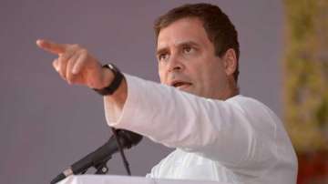 Rahul Gandhi is liar of the year: BJP slams Congress leader over his remark on NPR 
