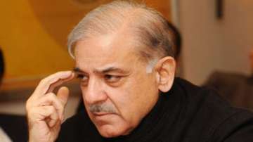 Pak anti-graft watchdog freezes properties owned by Shehbaz Sharif, two sons