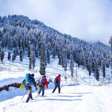  Snowfall Kashmir valley beautiful photos