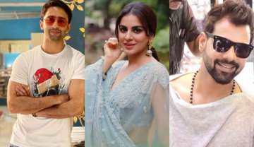 shaheer sheikh, shraddha arya