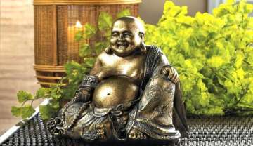Vastu Tips for home: Keeping Laughing Buddha at door entrance is auspicious, know why