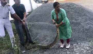 In nail-biting video, 60-year-old woman captures 20kg python alive with her bare hands in Kochi