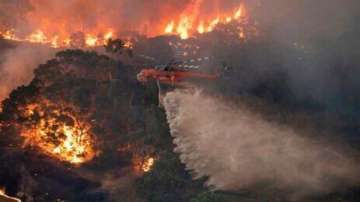 Australia bushfire crisis: 24 killed, over 6 mn hectares of land burned