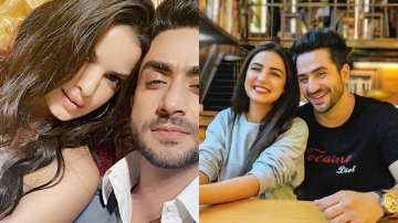 Is Natasa Stankovic's ex-boyfriend Aly Goni dating Naagin 4 actress Jasmin Bhasin?