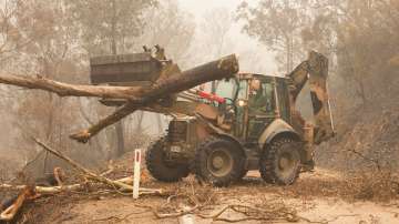 Hockey India contributes USD 25,000 for Australia bushfire victims