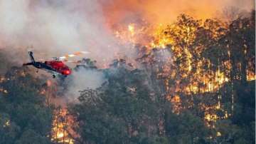 Australia announces mental health funding for bushfire victims