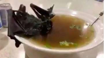 An unusual delicacy Bat Soup which very popular particularly in Wuhan, seems to be the origin of the