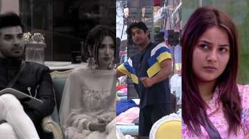 Bigg Boss 13 January 29 LIVE Updates: Shehnaaz's brother exposes Paras, Mahira's reality to Sidharth