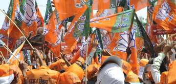 Delhi Assembly Polls: BJP holding 250 big, small rallies on Friday