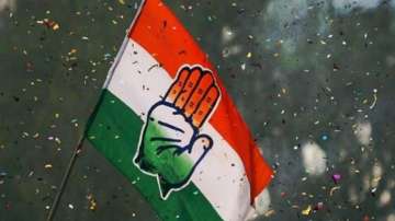 Congress sets up panels for better coordination among leaders in states ruled by it