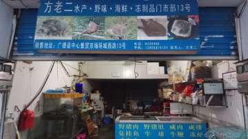 Coronavirus: China temporarily bans wildlife trade in wake of outbreak