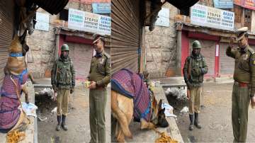 In picture-perfect moment, CRPF dog salutes Commanding Officer in downtown Srinagar
