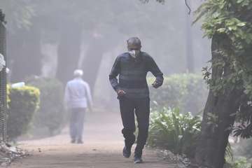 Local pollutants major contributor to Delhi's foul air, reveals study