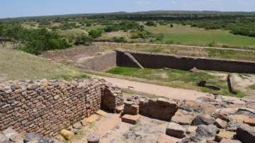 Researchers link Harappan city decline to lost river in Kutch