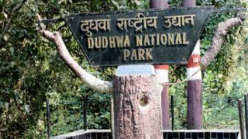 UP: 55-year-old farmer's half-eaten body found at Dudhwa National Park