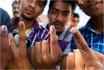 Delhi Assembly Polls: 339 FIRs registered under Excise Act in Delhi