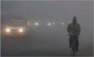 Fog claims 8 lives in highway accident in Rajasthan