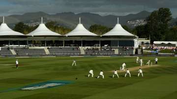 hagley oval, women's world cup, women's world cup final, 2021 womens world cup