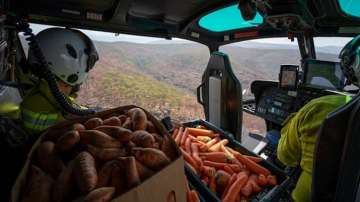 Food airdropped for bushfire-affected animals in Australia