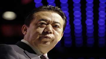 Chinese sentences ex-Interpol chief to 13 years for bribes