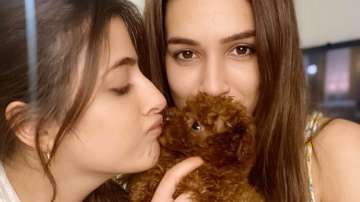 Kriti Sanon, sister Nupur welcome new member in the family. See photos