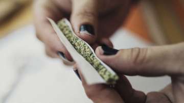 Legalising medical marijuana may lead to more sex: Study