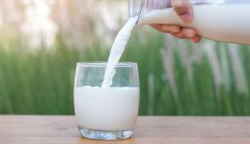 low-fat milk