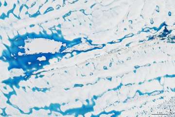Widespread surface melt in Antarctica's George VI ice shelf captured by NASA